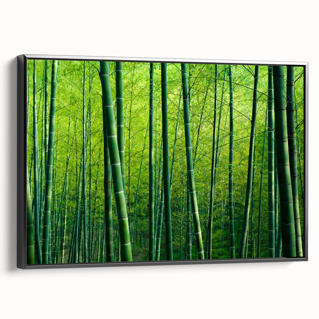 Framed canvas wall art showcasing a botanical forest design with vibrant flowers and trees, featuring a sleek black frame and side view display for contemporary decor.
