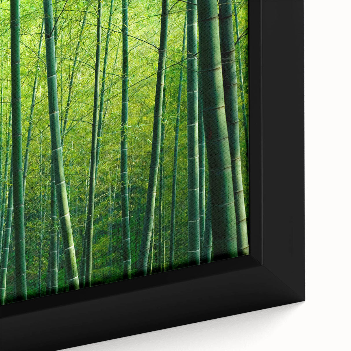 Framed canvas wall art showcasing a vibrant botanical forest design with detailed flowers and trees, perfect for adding a natural touch to home decor.