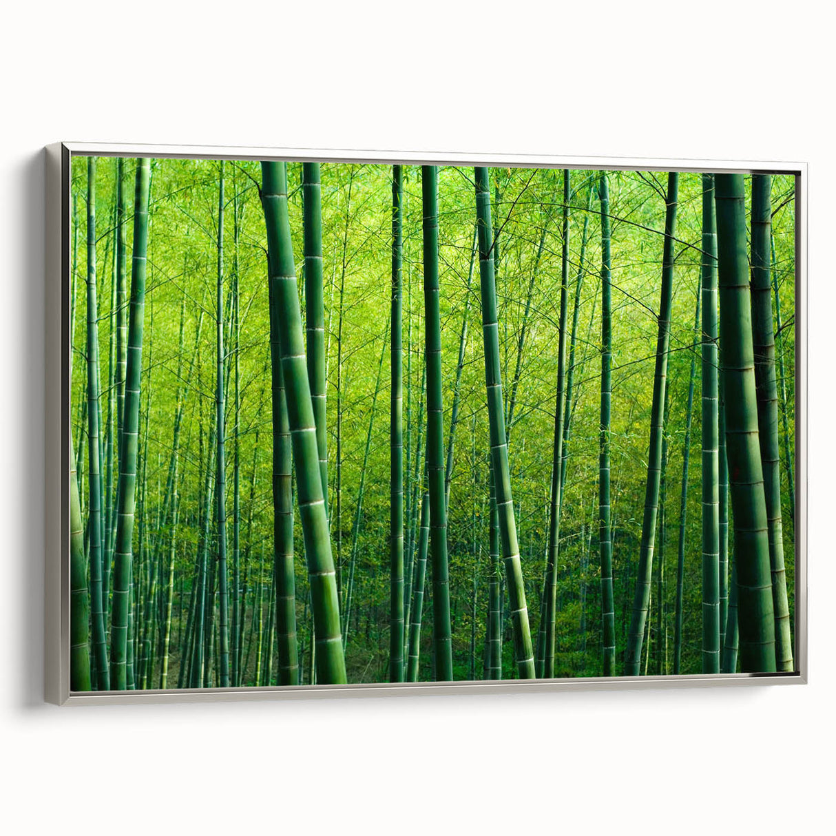 Framed canvas wall art showcasing a botanical forest design with lush greenery and elegant trees, featuring a sleek silver frame, perfect for home decor.