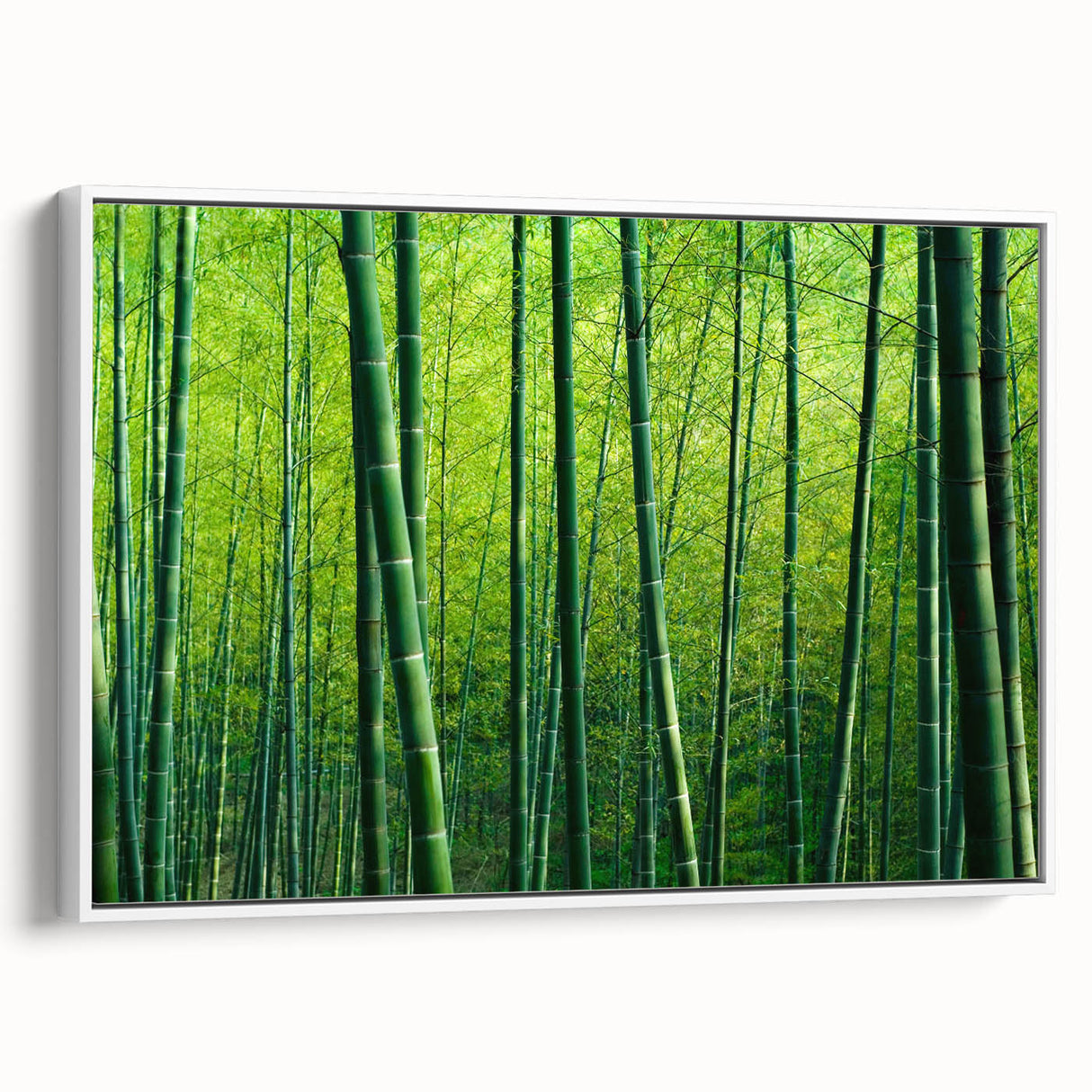 Framed canvas wall art depicting a botanical forest design with trees and colorful flowers, showcasing a vibrant and serene nature theme, ideal for home décor.