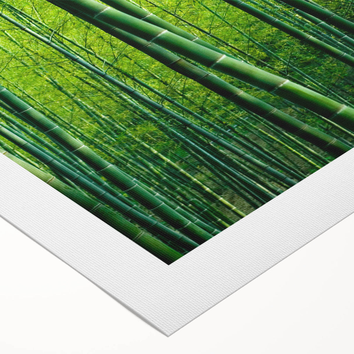 Botanical wall art featuring a vibrant forest scene with colorful flowers and trees, designed on rolled canvas, perfect for enhancing interior decor.
