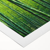 Botanical wall art featuring a vibrant forest scene with colorful flowers and trees, designed on rolled canvas, perfect for enhancing interior decor.