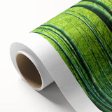 Vibrant rolled canvas showcasing a botanical forest design, featuring lush green trees and colorful flowers, ideal for home decor in natural settings.