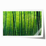 Botanical forest design wall art featuring vibrant flowers and trees, rolled for easy display, set against a subtle background, perfect for nature-themed decor.