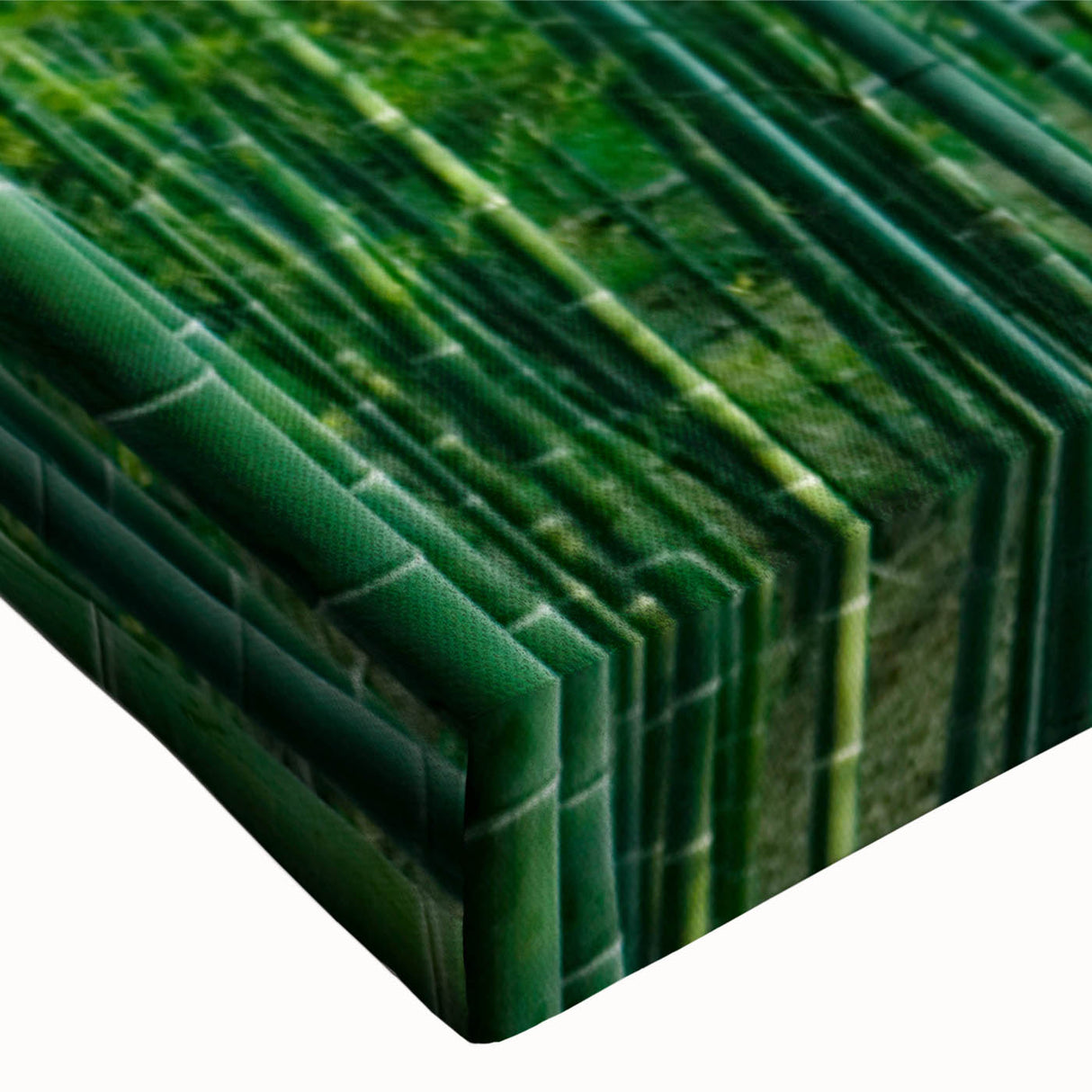 Close-up of a vibrant botanical forest wall art design on stretched canvas, showcasing intricate floral details and lush greenery, perfect for home decor.