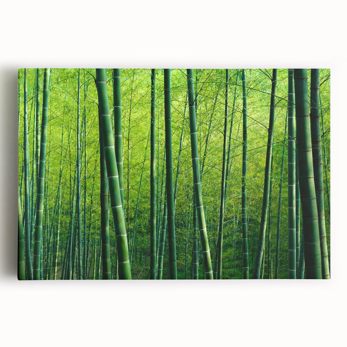 Colorful botanical forest wall art on stretched canvas, showcasing a vibrant design of trees and flowers, perfect for home decor enhancement.