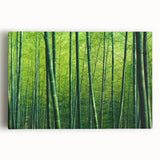 Colorful botanical forest wall art on stretched canvas, showcasing a vibrant design of trees and flowers, perfect for home decor enhancement.