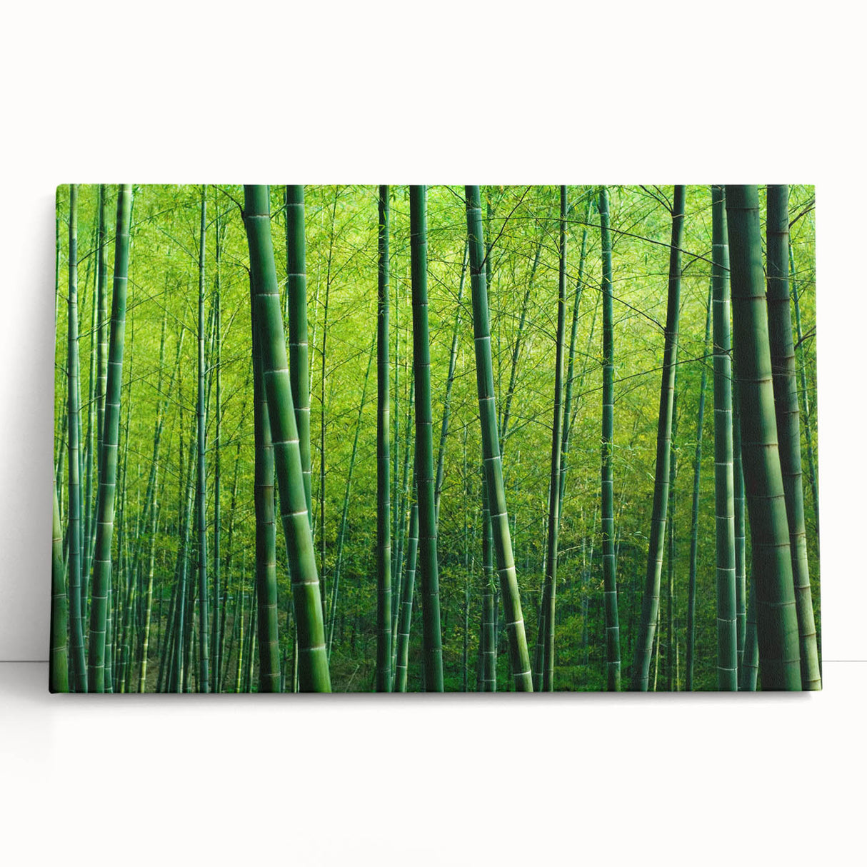 Botanical wall art design showcasing a vibrant forest scene with various trees and colorful flowers, printed on stretched canvas, perfect for home decor.