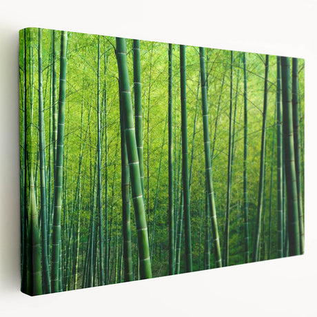 Stretched canvas wall art showcasing a vibrant botanical forest scene with various trees and colorful flowers, perfect for home decor and nature lovers.