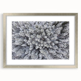 Botanical wall art featuring a forest design with vibrant flowers and trees, framed in silver with a mat, perfect for adding a touch of nature to home decor.