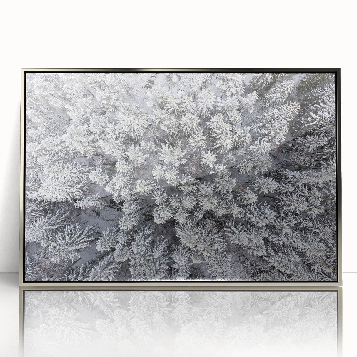 Framed wall art featuring a vibrant botanical forest design with silver accents, showcasing colorful flowers and lush trees, perfect for home decor.