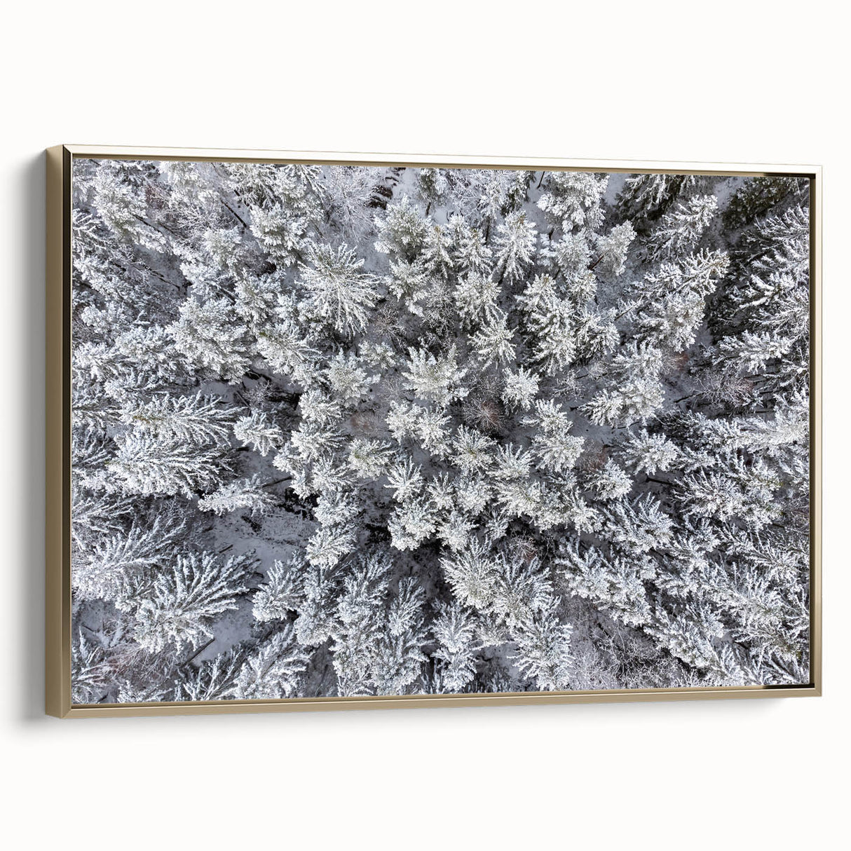 Framed canvas wall art showcasing a botanical forest design with vibrant flowers and trees, elegantly framed in gold, adding a touch of nature-inspired elegance.