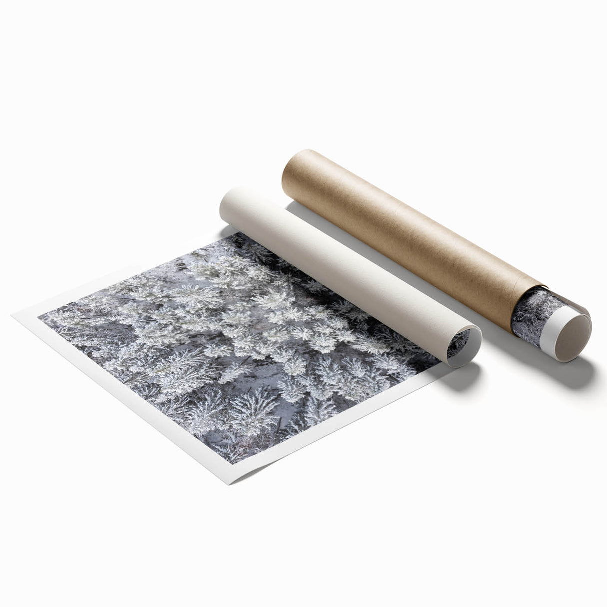 Botanical forest wall art featuring vibrant flowers and trees, rolled and ready for display, showcasing intricate details and rich colors for nature lovers.