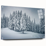 Colorful botanical forest wall art collection featuring various floral designs printed on acrylic glass, showcasing vibrant colors and intricate details, ideal for home decor.