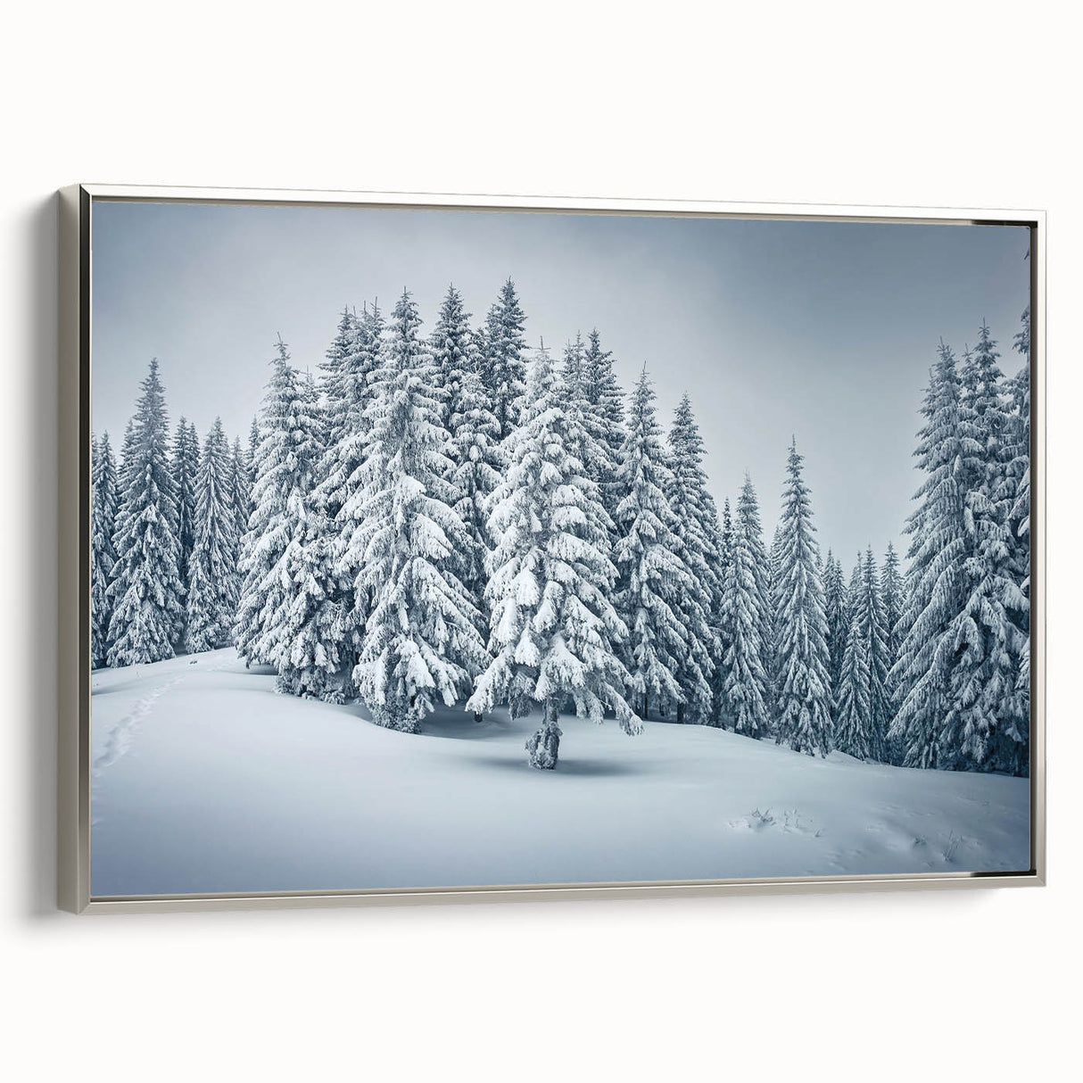 Framed canvas wall art showcasing a botanical forest design with vibrant flowers and trees, featuring a silver frame, ideal for home decor enhancement.