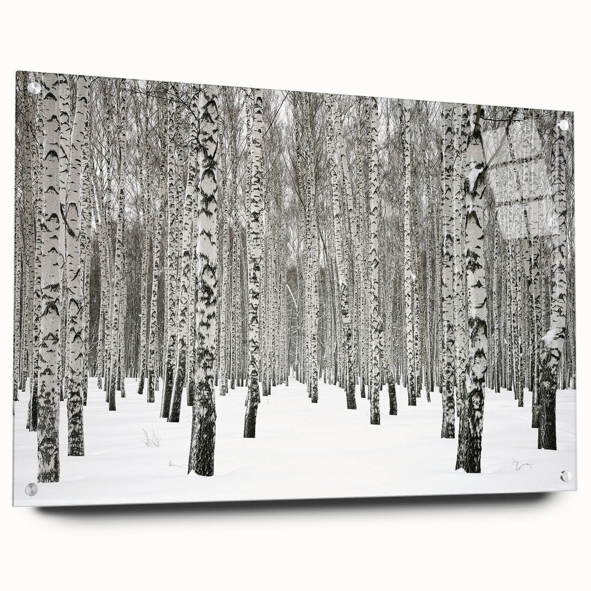 Acrylic wall art featuring a botanical forest design, showcasing vibrant flowers and trees, displayed in a side view with pins for easy mounting.