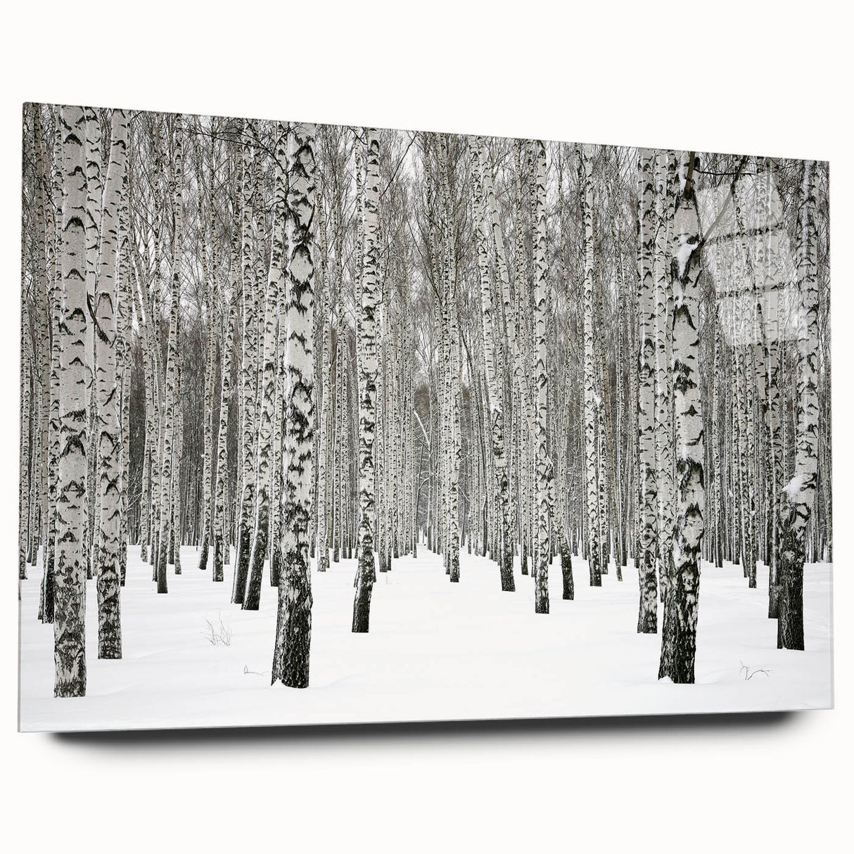 Acrylic glass wall art featuring a botanical forest design with vibrant flowers and trees, displayed in a side view, perfect for adding a natural touch to any decor.