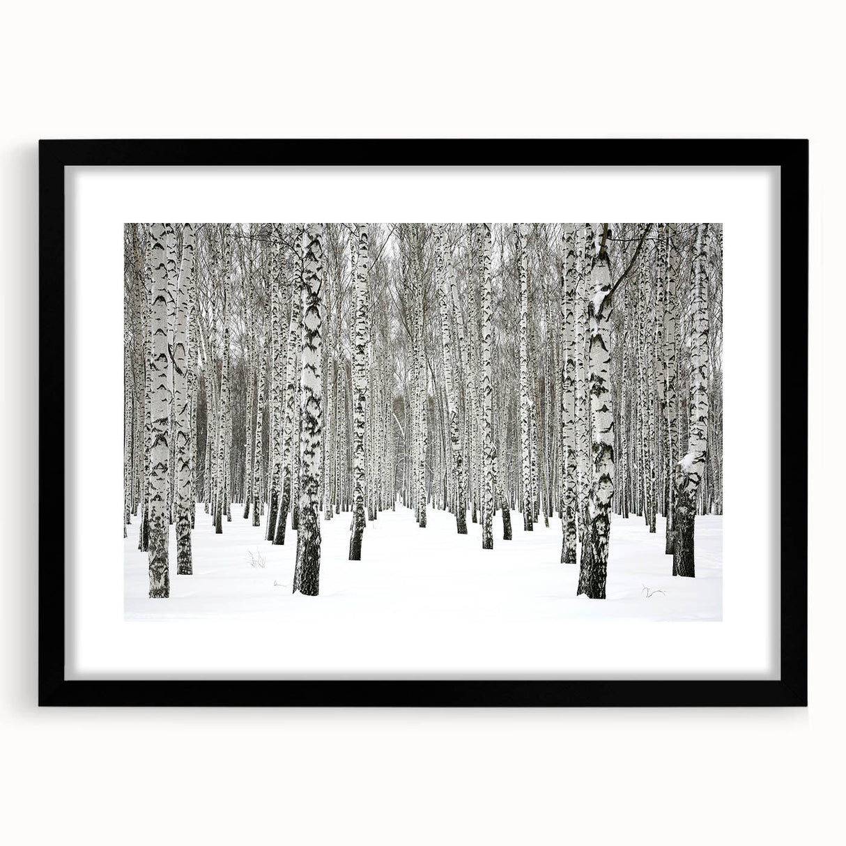 Botanical forest wall art featuring a vibrant floral design in a black frame with matting, ideal for home decor and nature-inspired aesthetics. Perfect for enhancing living spaces with a touch of elegance and color.