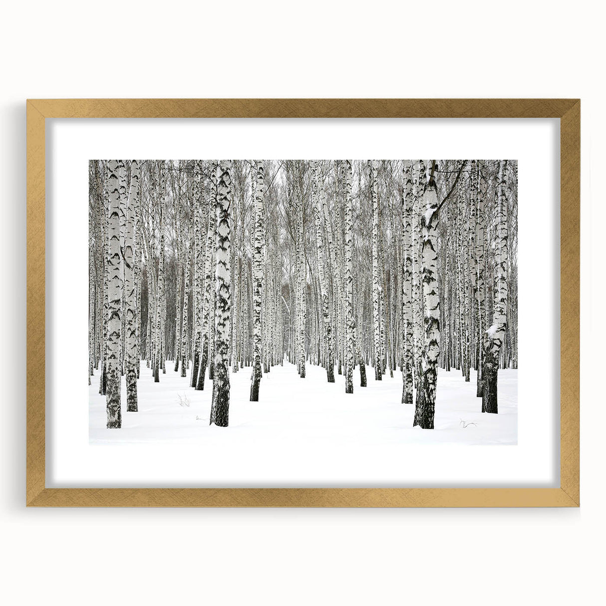 Framed botanical wall art featuring a vibrant forest tree design in gold accents, perfect for home decor. Displayed in a stylish mat for an elegant finish.