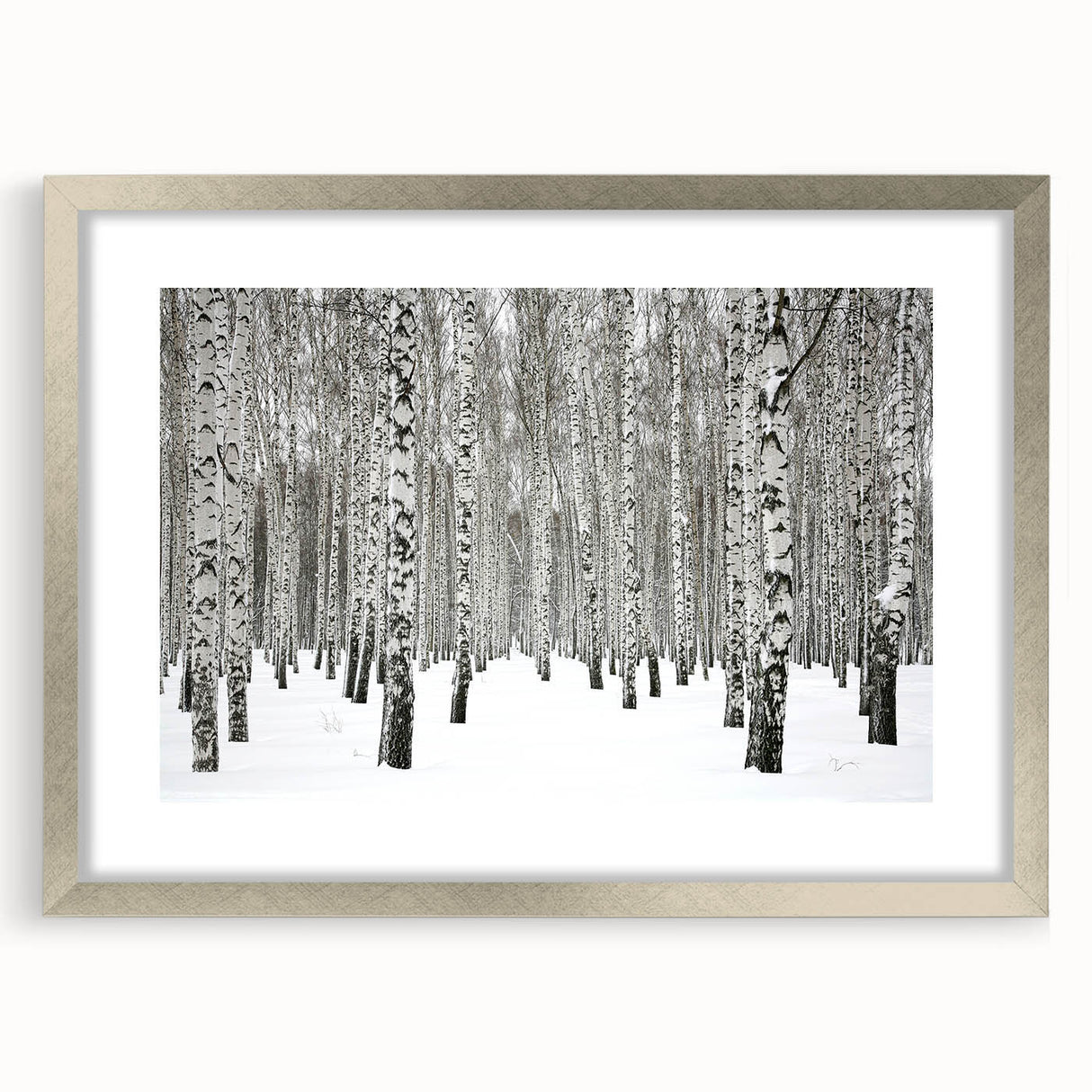 Botanical forest wall art design featuring vibrant flowers and trees, framed in silver with a mat, ideal for enhancing home decor and adding a nature-inspired touch.