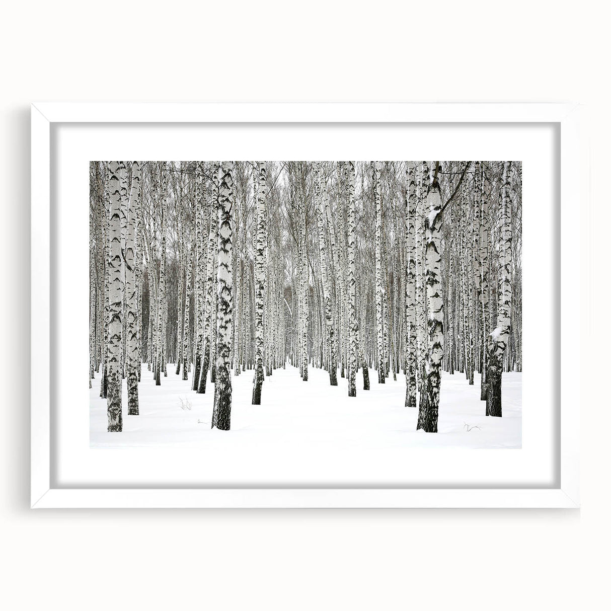 Botanical forest wall art design featuring vibrant flowers and trees, framed with a white mat for an elegant display. Perfect for nature-inspired home decor.