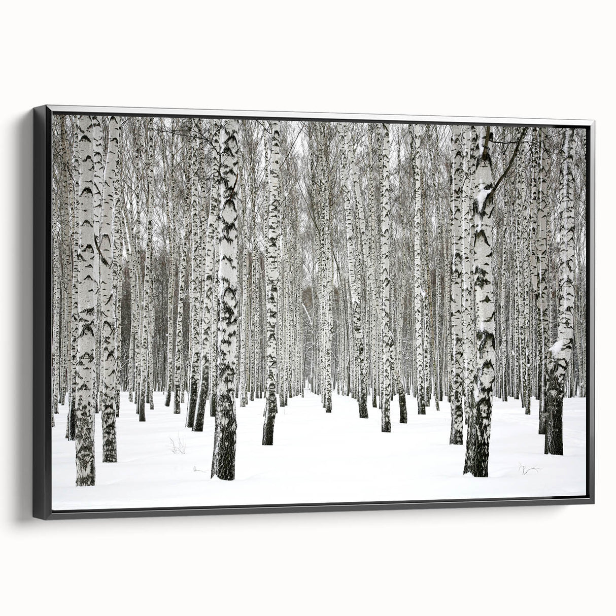 Framed canvas wall art showcasing a vibrant floral design with botanical forest trees, set against a sleek black frame, ideal for modern home decor.