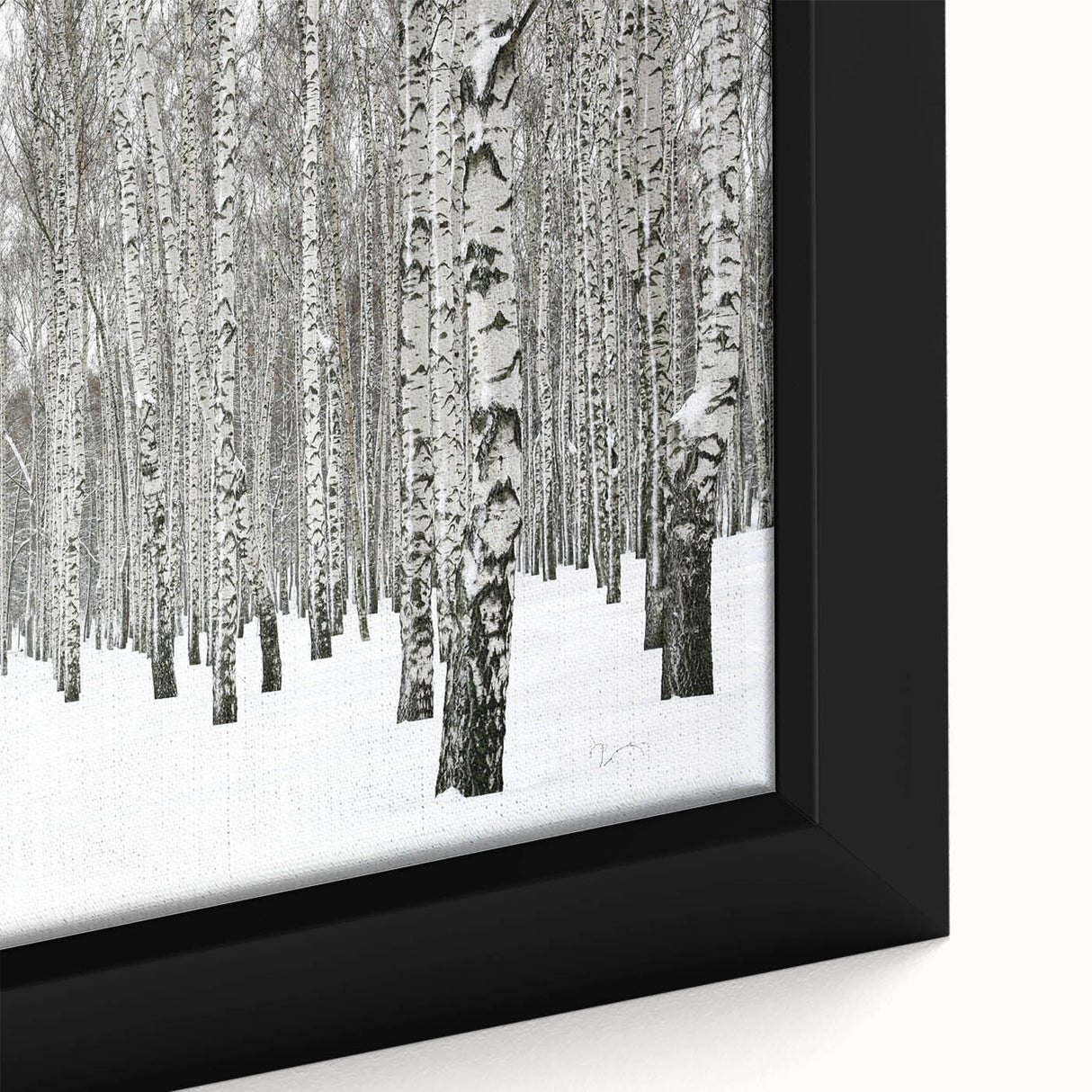 Framed canvas wall art showcasing a vibrant botanical forest design with colorful flowers and trees, ideal for enhancing home decor with nature-inspired aesthetics.