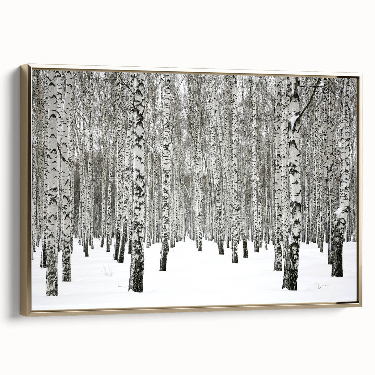 Framed canvas wall art showcasing a vibrant botanical forest design with colorful flowers and trees, accented with a gold frame, perfect for home decor.