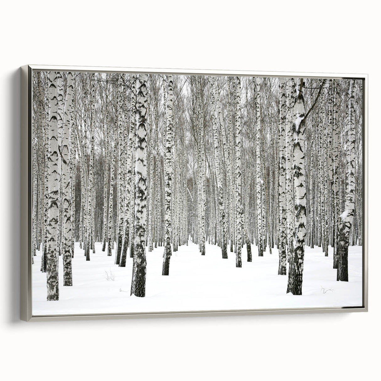 Framed canvas wall art featuring a serene botanical forest design with trees, set against a silver frame, perfect for nature-inspired home decor.