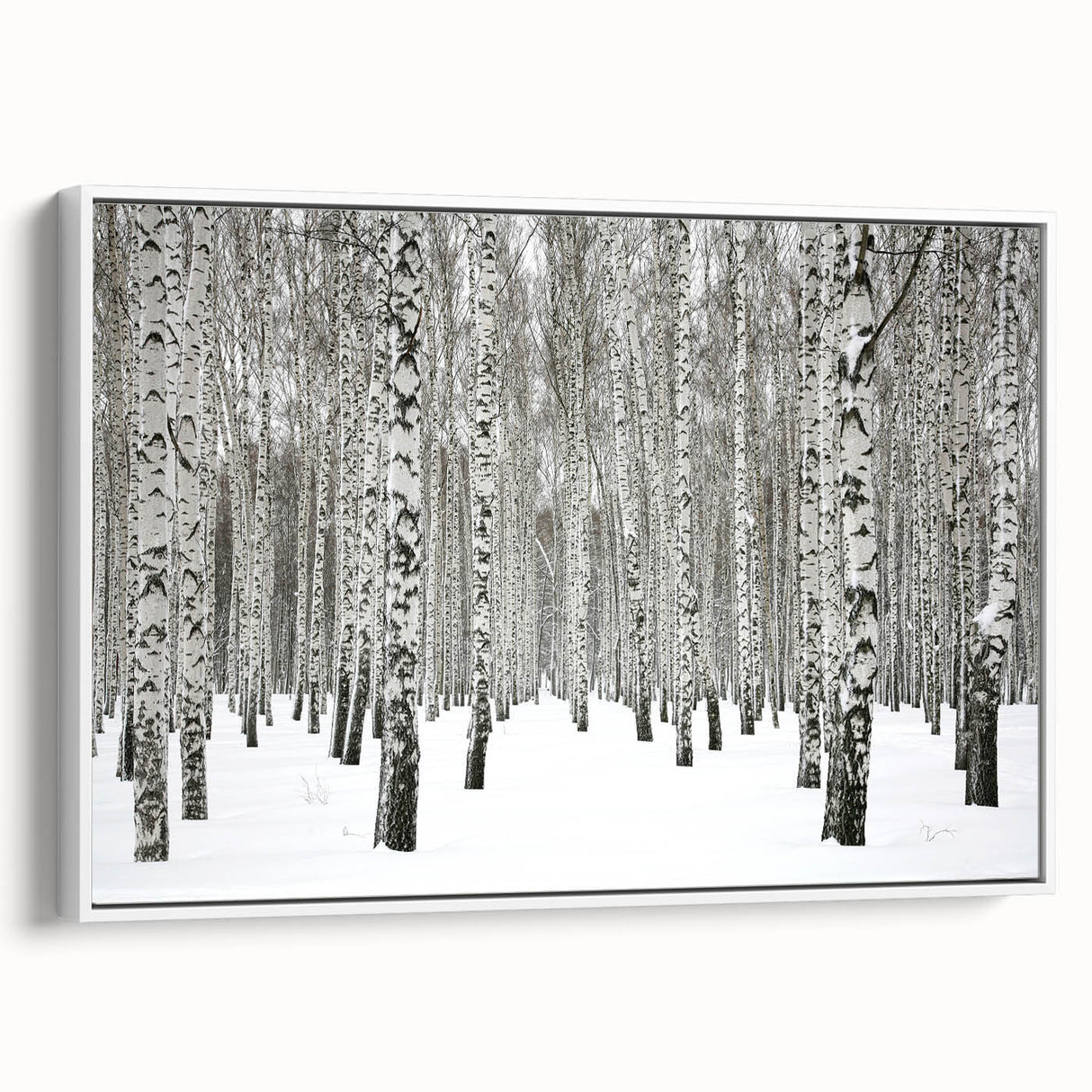 Framed wall art featuring a botanical forest design with vibrant flowers and trees, displayed from a side angle against a white background. Perfect for nature-inspired decor.