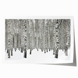 Botanical wall art print showcasing a vibrant forest scene with lush green trees and colorful flowers, rolled and ready for framing, ideal for nature-inspired decor.