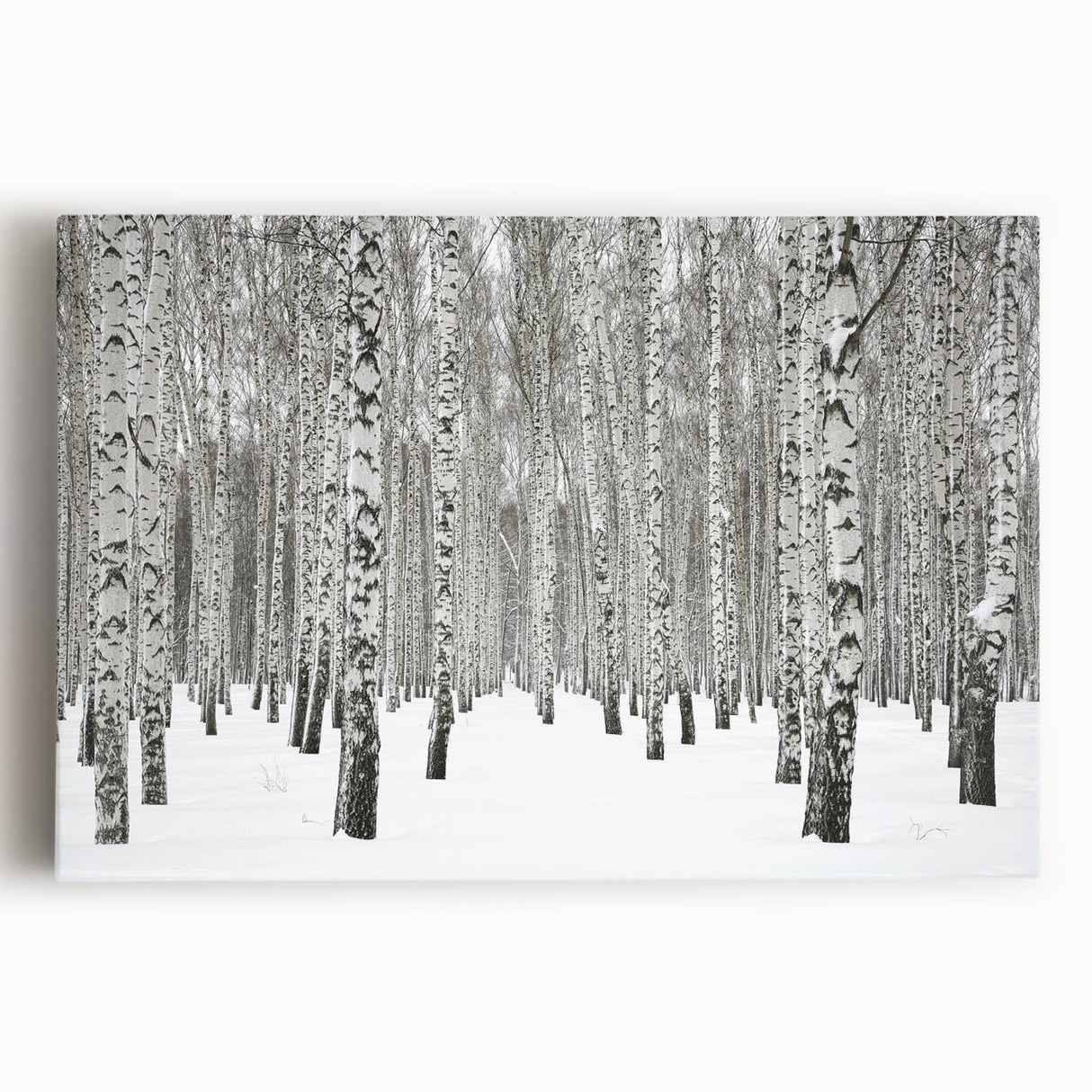 Stretched canvas wall art showcasing a vibrant botanical forest design with colorful flowers and trees, perfect for home decor, enhancing natural aesthetics. This artwork brings a touch of nature indoors, ideal for living rooms or offices.
