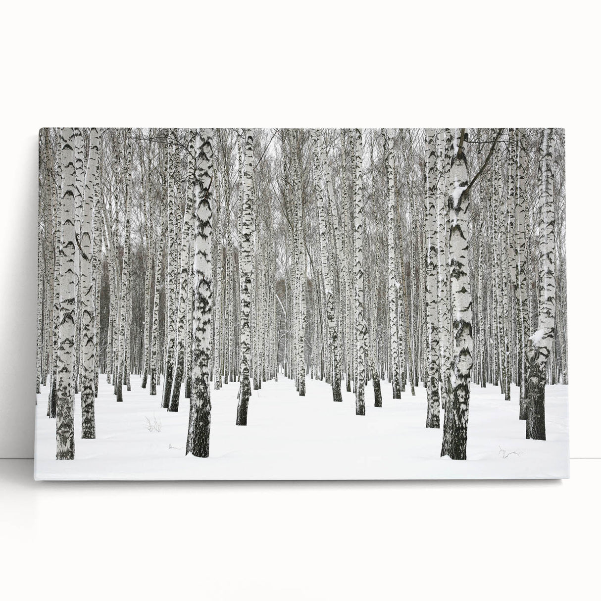 Stretched canvas wall art showcasing a vibrant botanical forest design with colorful flowers and trees, perfect for adding a natural touch to home decor.