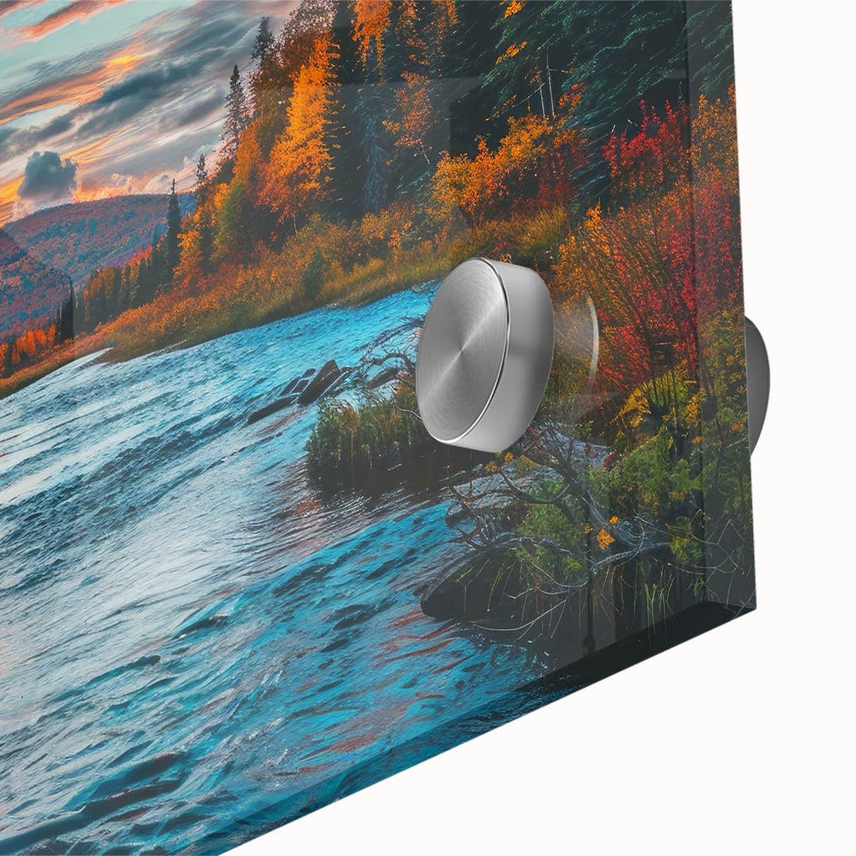 Close-up view of a vibrant botanical forest wall art design featuring colorful flowers and trees, printed on acrylic glass, perfect for home decor.