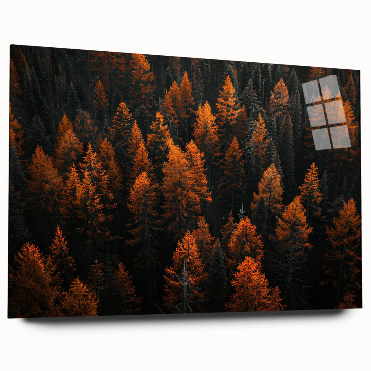 Acrylic glass wall art featuring a botanical forest design with vibrant flowers and trees, showcased in a sleek side view without pins, perfect for home decor.