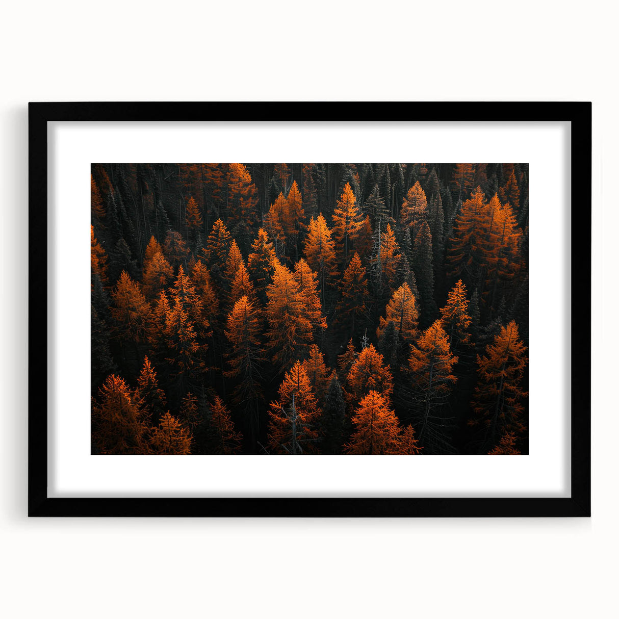 Botanical forest trees wall art collection in a sleek black frame with matting, showcasing vibrant floral designs that enhance modern decor. Perfect for nature lovers.