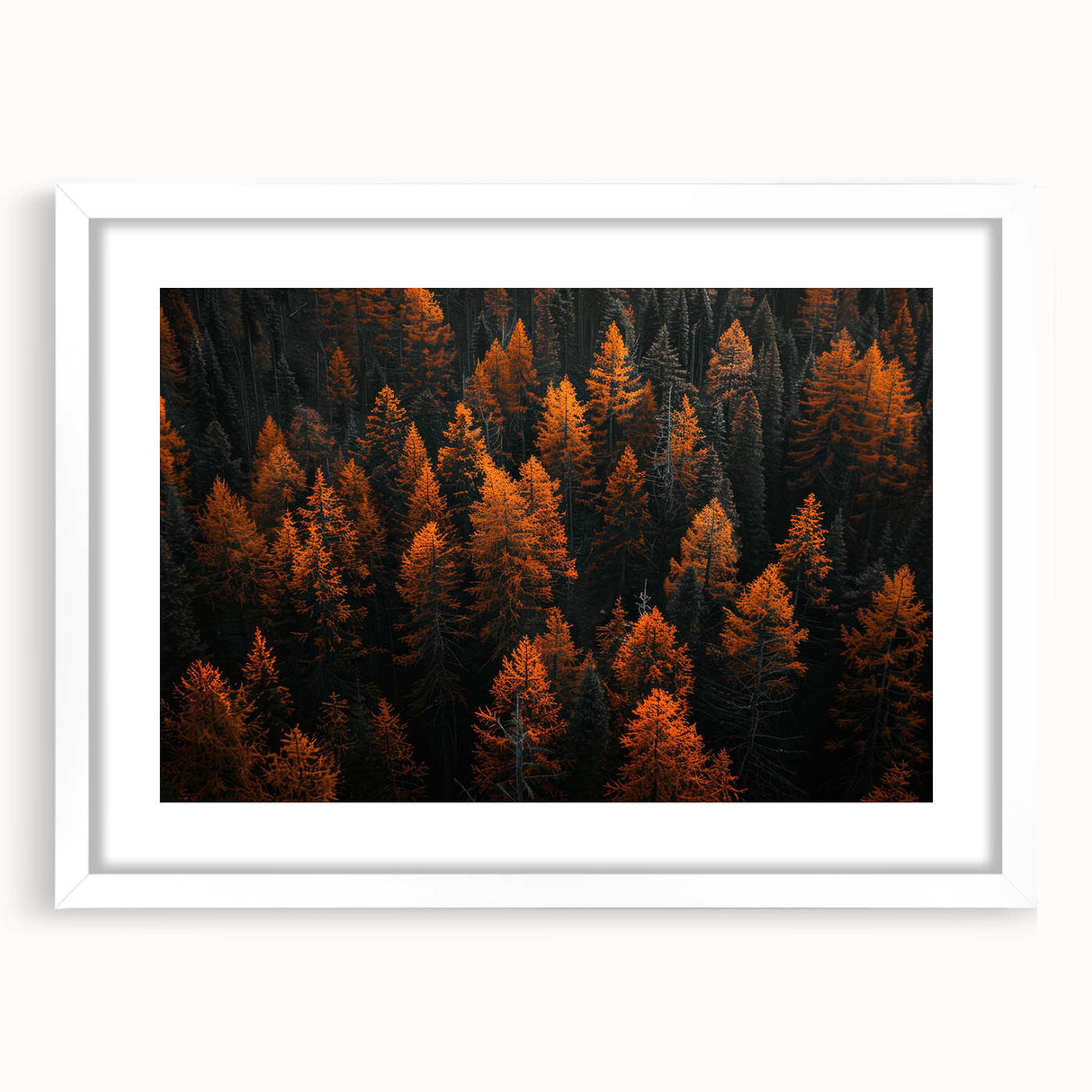 Botanical forest wall art collection showcasing a framed design of vibrant flowers and trees, featuring a white mat, perfect for home decor.