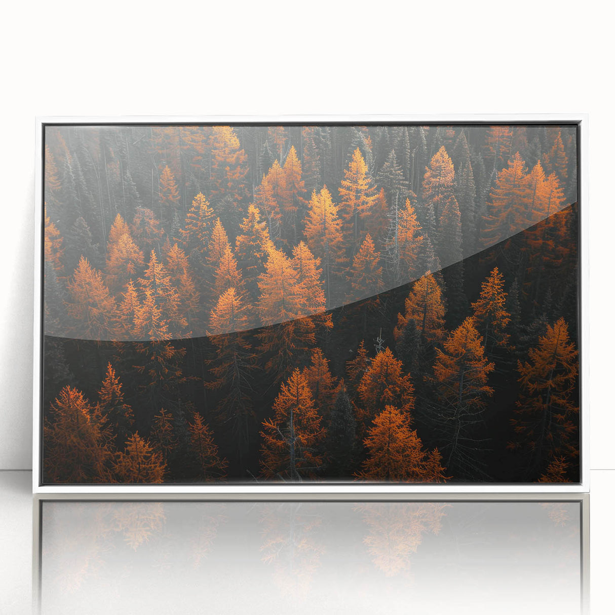 Framed wall art featuring a botanical design of colorful flowers and trees against a white background, perfect for enhancing modern home decor.