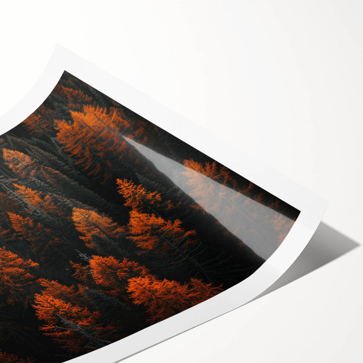 Botanical forest wall art print showcasing lush green trees and vibrant floral designs, rolled for easy display and delivery in a protective tube. Ideal for nature-themed decor.