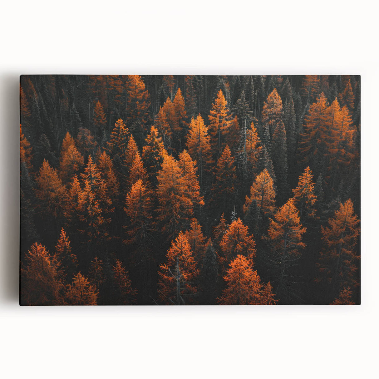 Botanical forest wall art collection featuring vibrant flowers and trees, printed on stretched canvas with a textured finish, ideal for home decor enhancement.