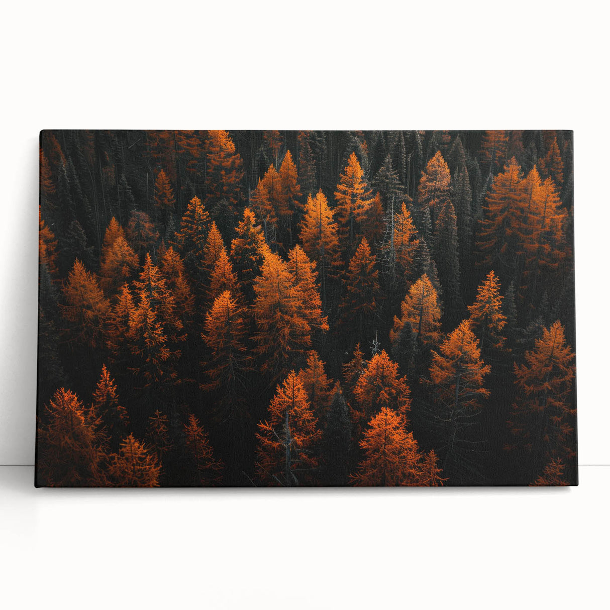 Botanical forest wall art collection featuring vibrant flowers and trees on stretched canvas, perfect for home decor. Ideal for nature enthusiasts and art lovers.