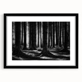Black-framed botanical wall art featuring a vibrant floral design with trees, perfect for home decor or office settings, enhancing any space's aesthetic appeal.