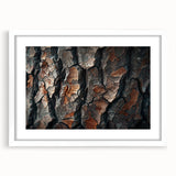 Botanical forest wall art collection featuring vibrant flowers and trees in a white frame with matting, perfect for enhancing home decor aesthetics.