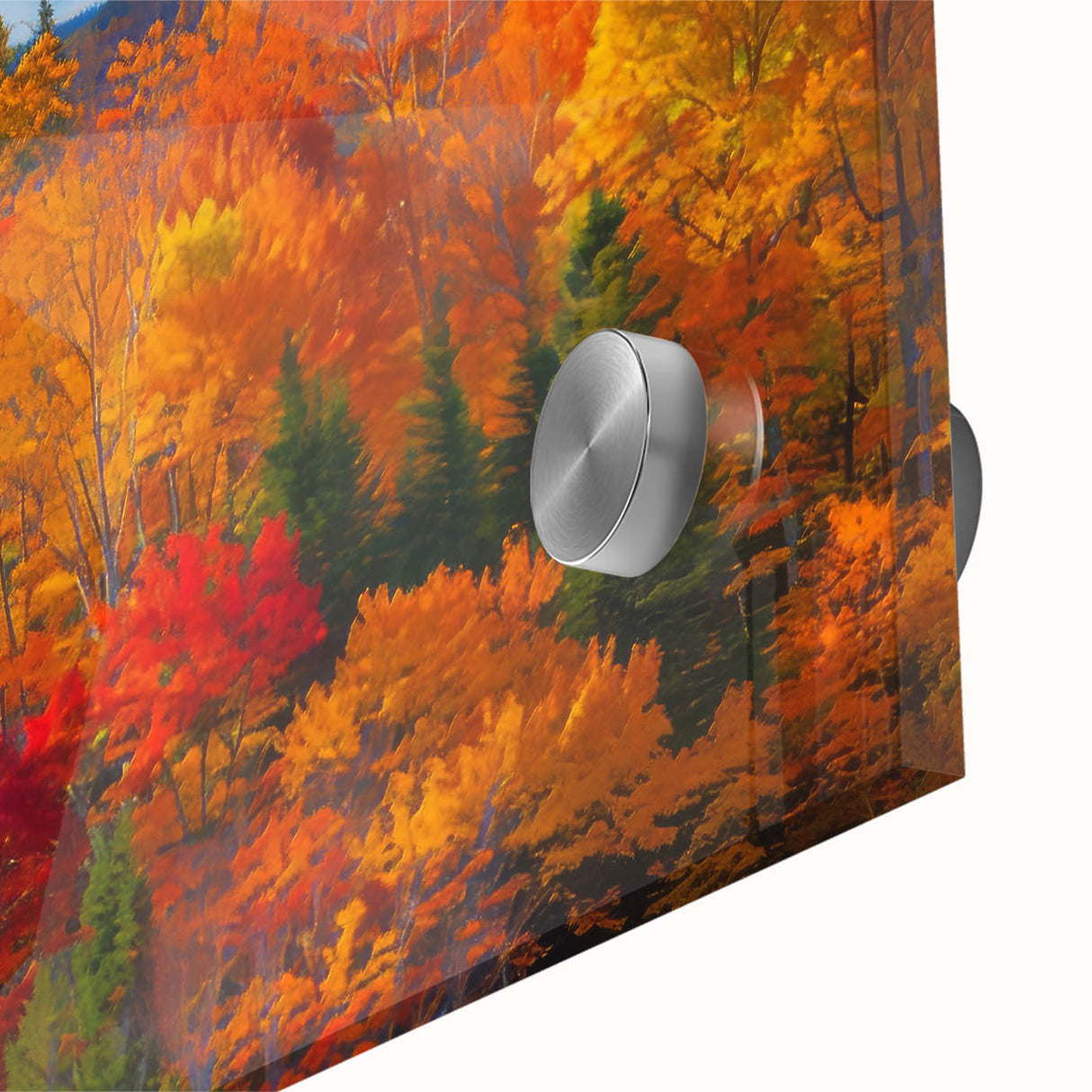 Close-up of a botanical forest wall art collection featuring vibrant flowers and trees on acrylic glass, showcasing intricate details and colors ideal for home decor.