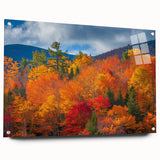 Acrylic glass wall art showcasing a botanical forest design with various flowers and trees, elegantly displayed from the side with metal pins, perfect for nature-themed decor.