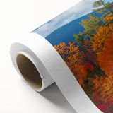Rolled canvas print showcasing a vibrant botanical forest design with colorful flowers and trees, ideal for enhancing home decor in natural-themed settings.