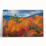 Stretched canvas art depicting a vibrant botanical forest with intricate floral and tree designs, ideal for enhancing home decor with a natural aesthetic.