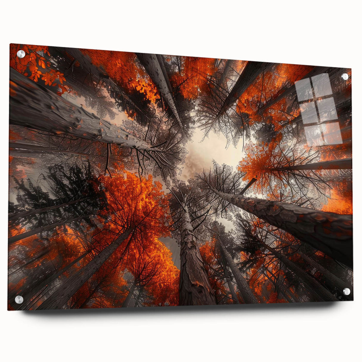 Acrylic glass wall art featuring a vibrant botanical forest design with various colorful flowers and textured tree elements, elegantly displayed with pins for easy hanging.