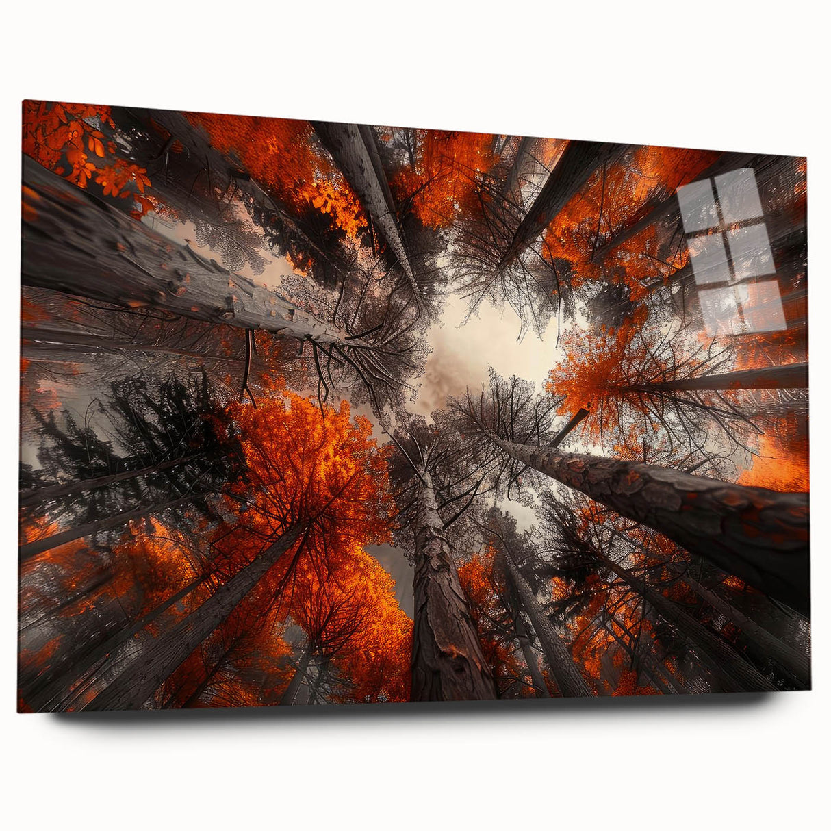 Acrylic wall art collection featuring a botanical forest design with lush trees and vibrant flowers, displayed in a side view without pins, perfect for home decor.
