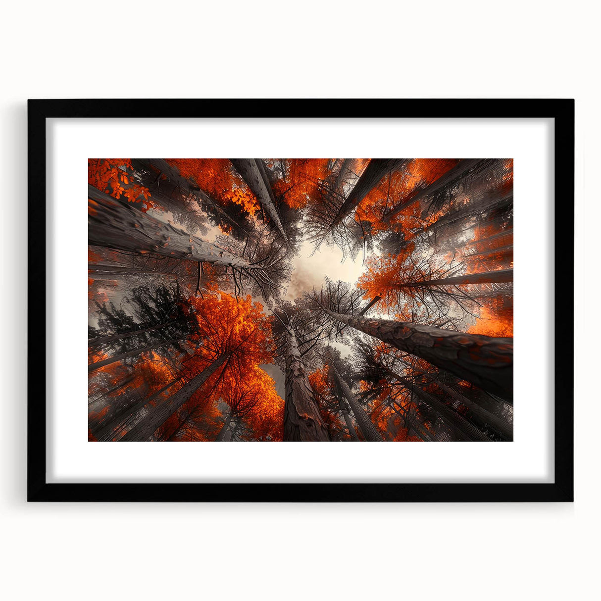 Botanical forest wall art collection featuring a framed design with a black front view, showcasing vibrant flowers and trees, perfect for home decor.